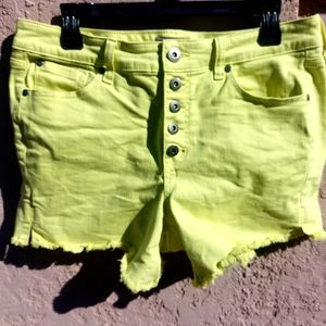 Torrid frayed hem short shorts